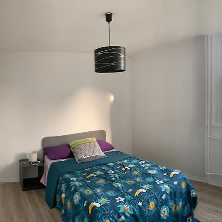 Spacieux Et Lumineux Proche Transports Grenoble